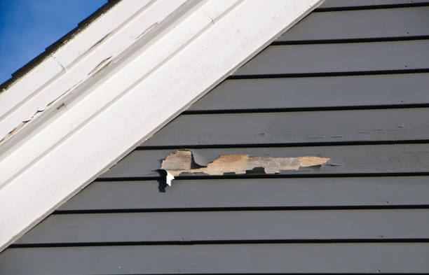 Best Construction Debris Removal  in Kingston, NY